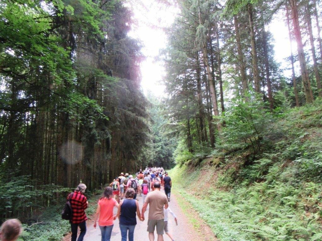 Un groupe de randonneurs au milieu des bois durant la journée des Voies Antiques en Fête.