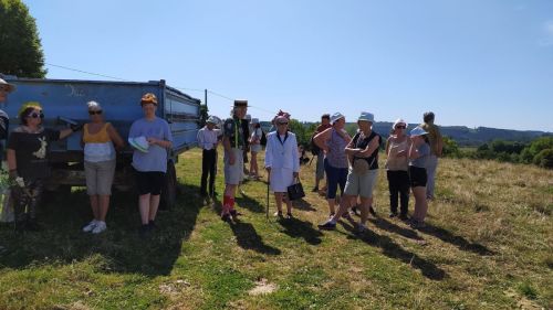 Les scènes de l'après-midi