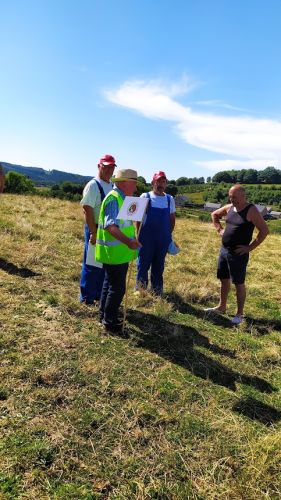 Les scènes de l'après-midi