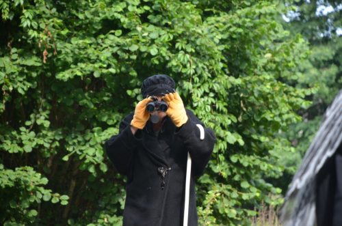 Chataigne et herisson 00084