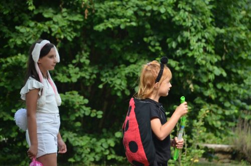 Chataigne et herisson 00093