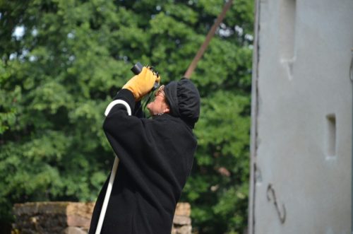 Chataigne et herisson 00094