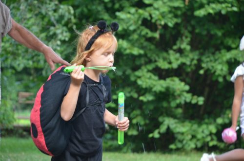 Chataigne et herisson 00102