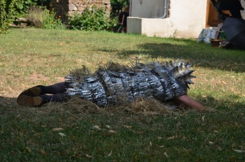 Chataigne et herisson 00118