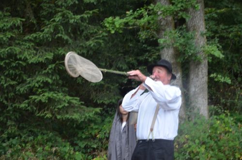 chasse aux fees 00029