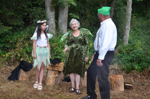 chasse aux fees 00035