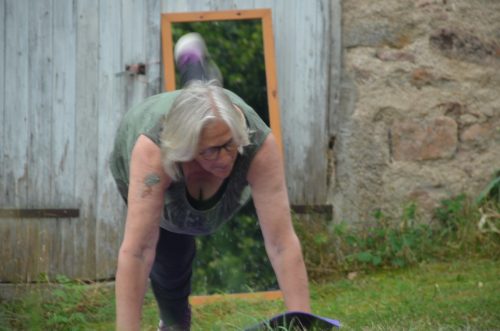 le vol du crapiau 00046